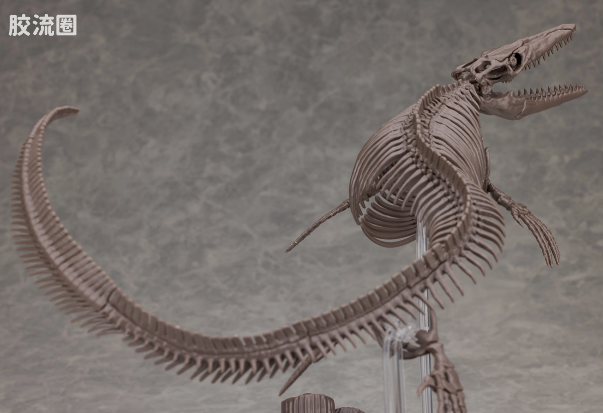 万代综合拼装模型系列 Imaginary Skeleton系列 沧龙 - 图片